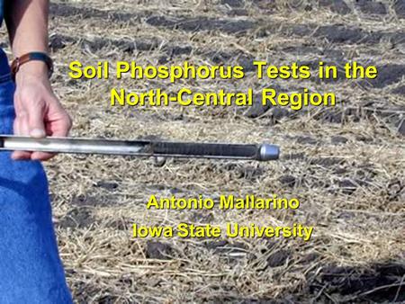 Soil Phosphorus Tests in the North-Central Region Antonio Mallarino Iowa State University.