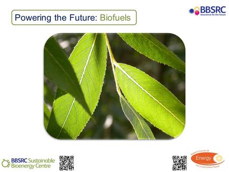 Powering the Future: Biofuels. Activity: Carbohydrate testing Use a variety of chemical tests to identify carbohydrates in plant material Evaluate the.