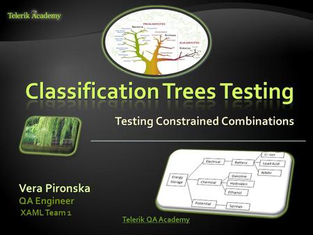 Testing Constrained Combinations Vera Pironska QA Engineer XAML Team 1 XAML Team 1 Telerik QA Academy Telerik QA Academy.