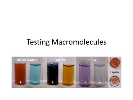 Testing Macromolecules
