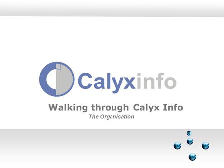 Calyxinfo Walking through Calyx Info The Organisation.