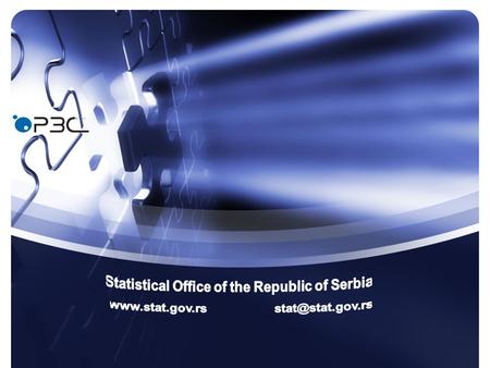 Users Satisfaction with Statistical Information and services, 2010 Results of the Survey.