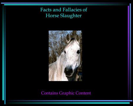 Facts and Fallacies of Horse Slaughter Contains Graphic Content.