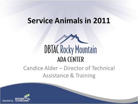 Service Animals in 2011 Candice Alder – Director of Technical Assistance & Training.