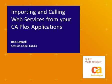 Importing and Calling Web Services from your CA Plex Applications Session Code: Lab13 Rob Layzell.