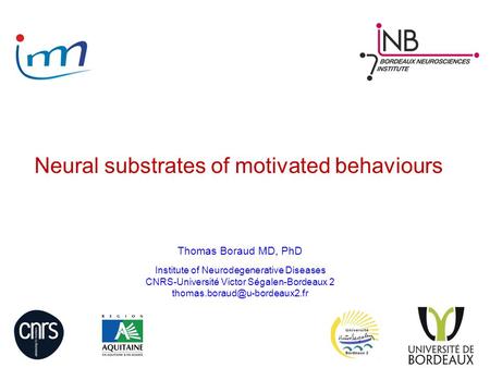 Institute of Neurodegenerative Diseases CNRS-Université Victor Ségalen-Bordeaux 2 Thomas Boraud MD, PhD Neural substrates.
