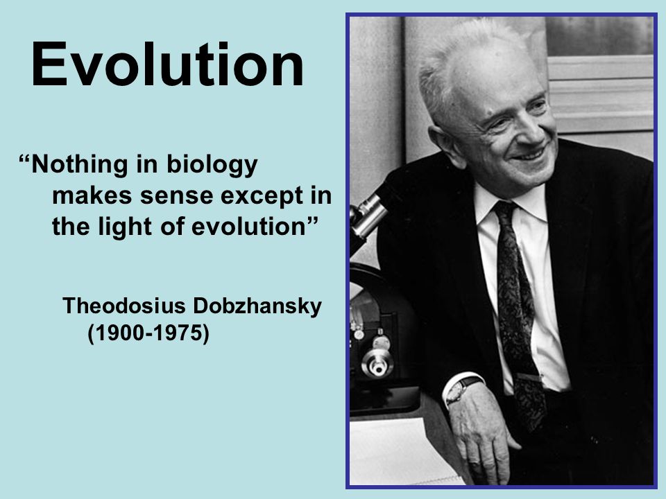 Theodosius Dobzhansky ( ) “Nothing in biology makes sense except in the light of evolution” Evolution. - ppt download