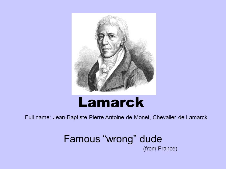 Lamarck Famous “wrong” dude (from France) Full name: Jean-Baptiste Pierre  Antoine de Monet, Chevalier de Lamarck. - ppt download