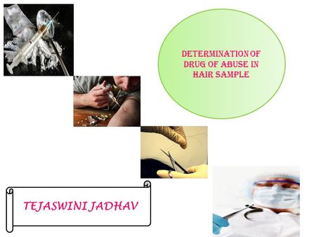 Determination of drug of abuse in hair sample TEJASWINI JADHAV.