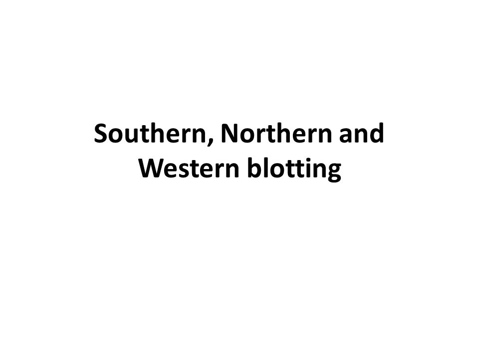 Southern, Northern and Western blotting - ppt video online download