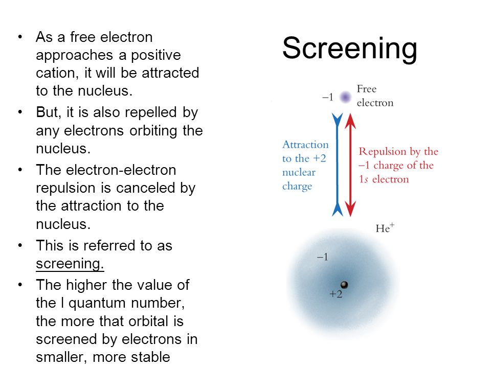 Screening As a free electron approaches a positive cation, it will be  attracted to the nucleus. But, it is also repelled by any electrons  orbiting the. - ppt download