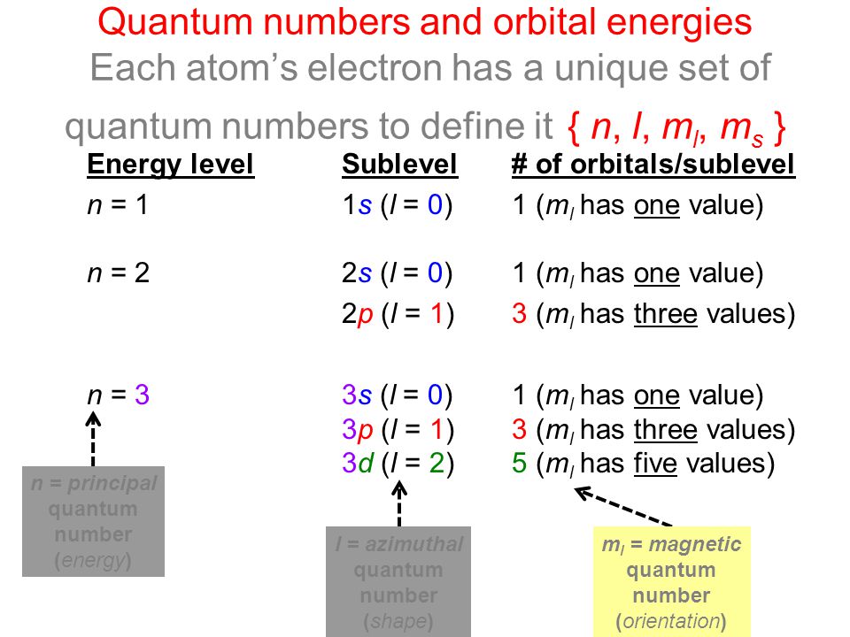 Energy Levelsublevel Of Orbitals Sublevel N 11s L 0 1 M L Has One Value N 2 2s L 0 1 M L Has One Value 2p L 1 3 M L Has Three Values Ppt Download