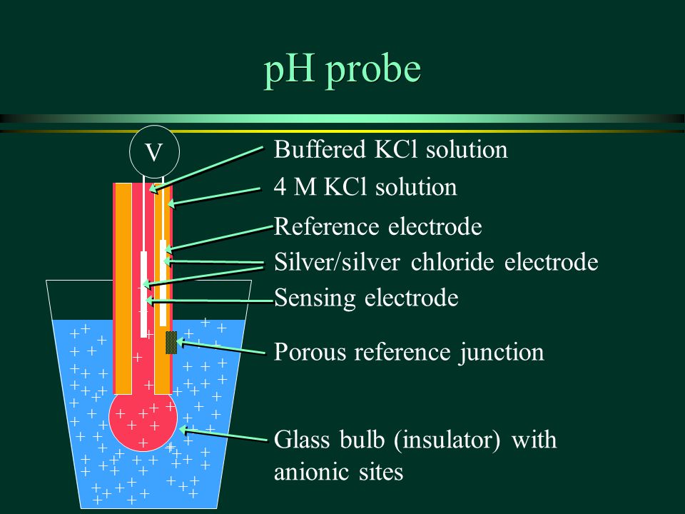 PH probe ppt download