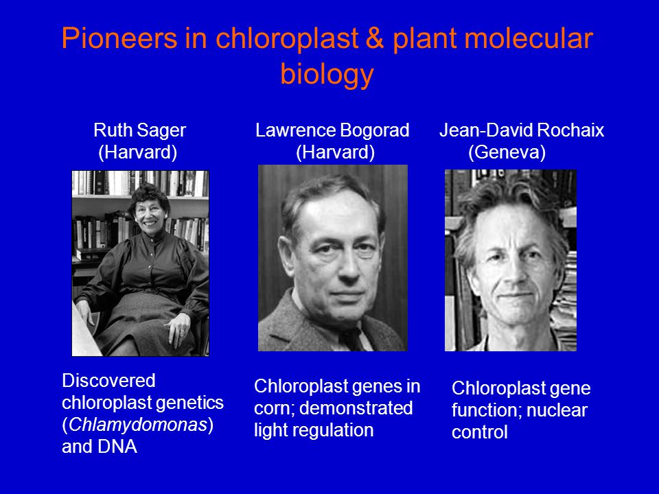 Pioneers in chloroplast & plant molecular biology Discovered ...