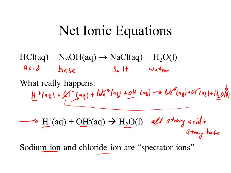 Net Ionic Equations Hcl Aq Naoh Aq Nacl Aq H 2 O L What Really Happens H Aq Oh Aq H 2 O L Sodium Ion And Chloride Ion Are Spectator Ppt Download