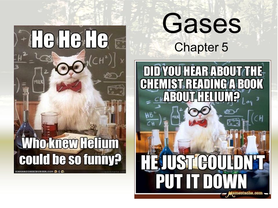 chemistry cat memes helium