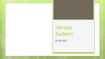 Urinary System By:Eli Hall. The function of the Urinary System is to remove liquid waste from the blood in the form on urine. Helps to keep a stable balance.