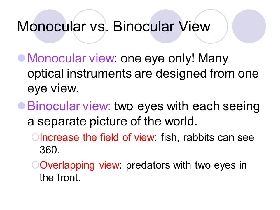 Monocular vs. Binocular View Monocular view: one eye only! Many optical  instruments are designed from one eye view. Binocular view: two eyes with  each. - ppt download
