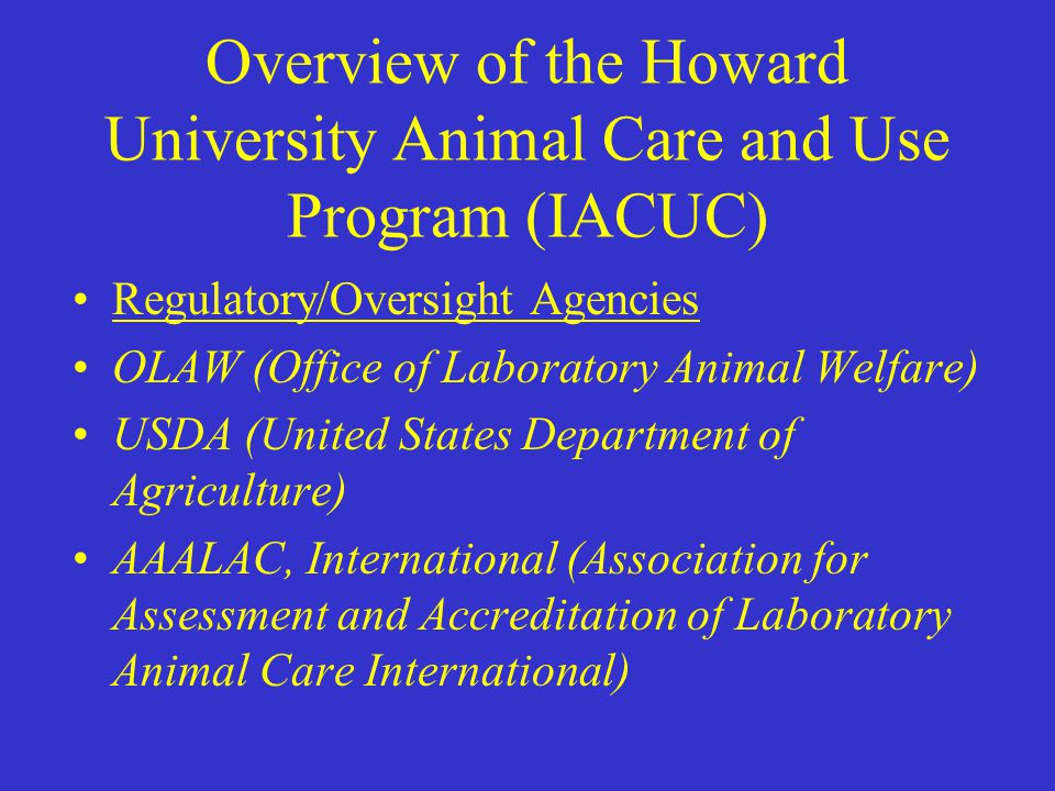 Overview of the Howard University Animal Care and Use Program (IACUC)  Regulatory/Oversight Agencies OLAW (Office of Laboratory Animal Welfare)  USDA (United. - ppt download