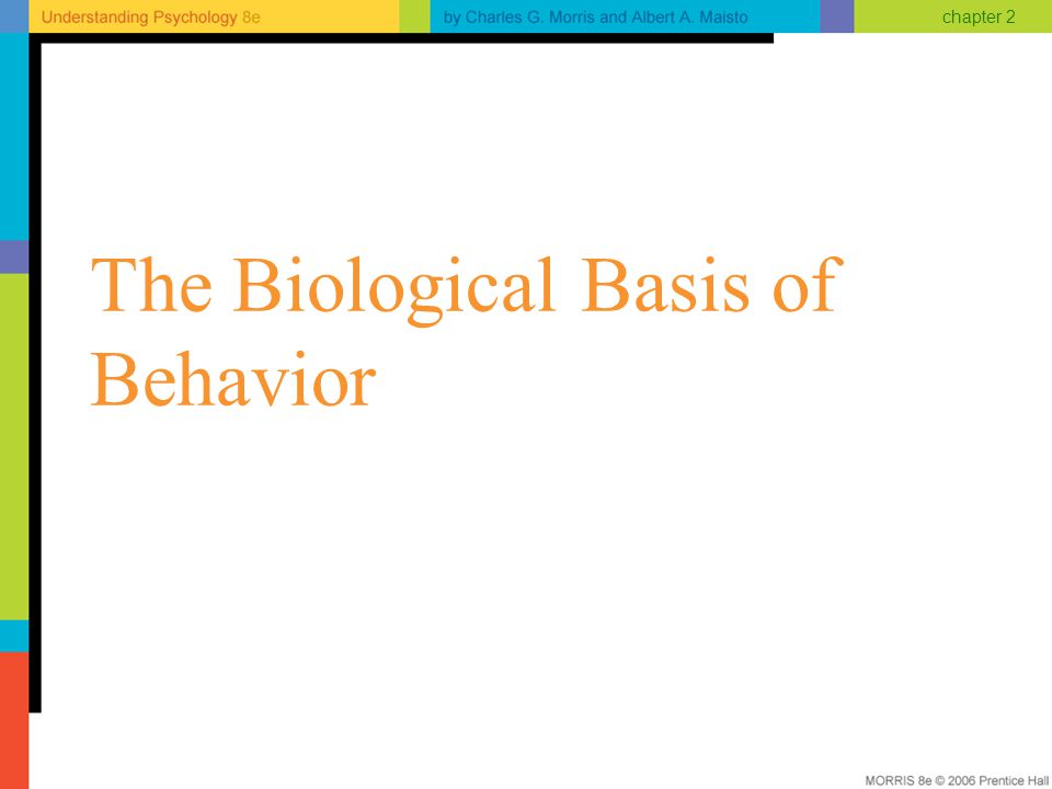 Chapter 2 The Biological Basis of Behavior. chapter 2 Neurons: The  Messengers Neurons vary in size and shape All are specialized to receive  and transmit. - ppt download