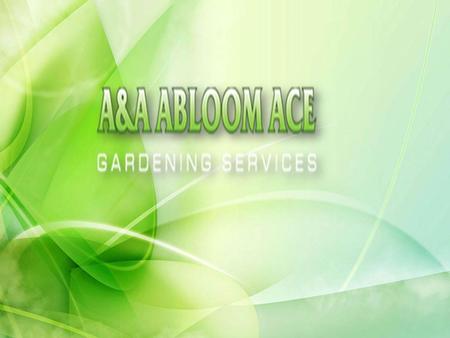 Perfect Landscaping Services in Hornsby