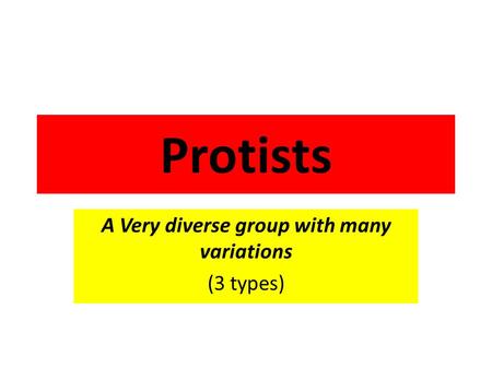 Protists A Very diverse group with many variations (3 types)