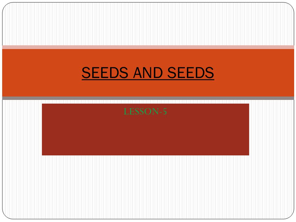 Seeds And Seeds Lesson Ppt Video Online Download Seeds And Seeds Lesson Ppt Video Online Download