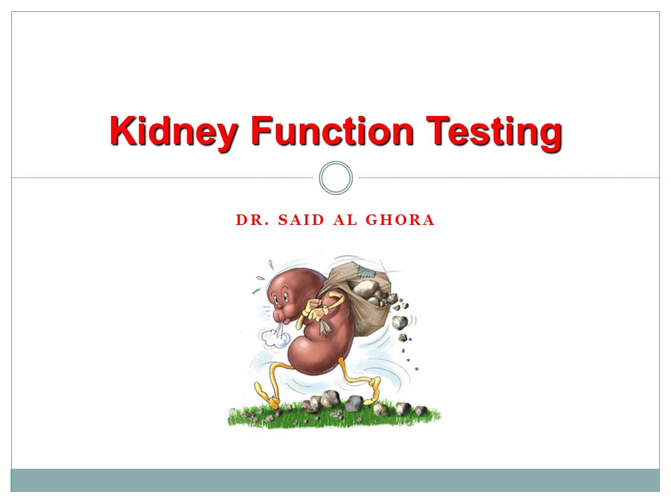 Kidney Function Testing - ppt video online download
