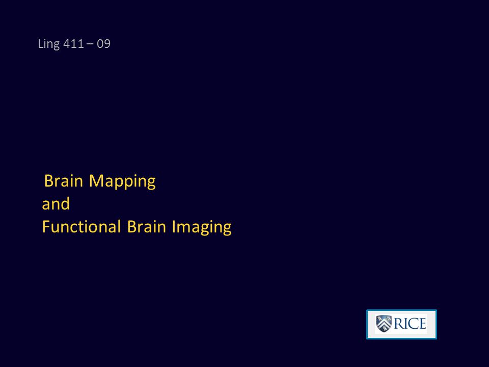 Brain Mapping and Functional Brain Imaging Ling 411 – ppt download