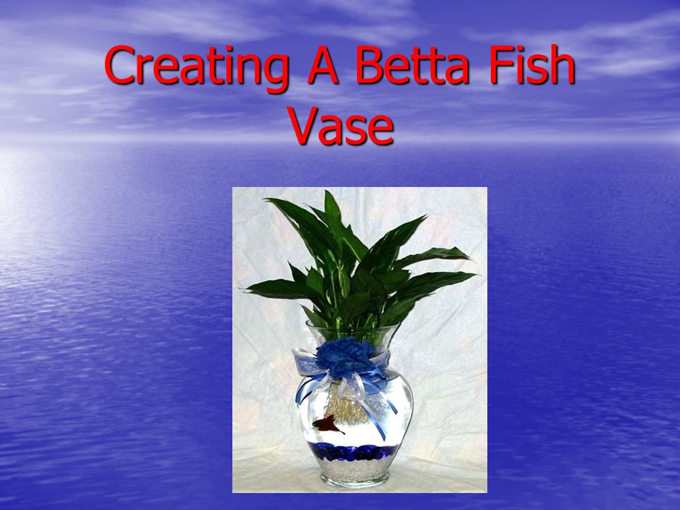 Creating A Betta Fish Vase. Supplies Needed! Colored Gemstones