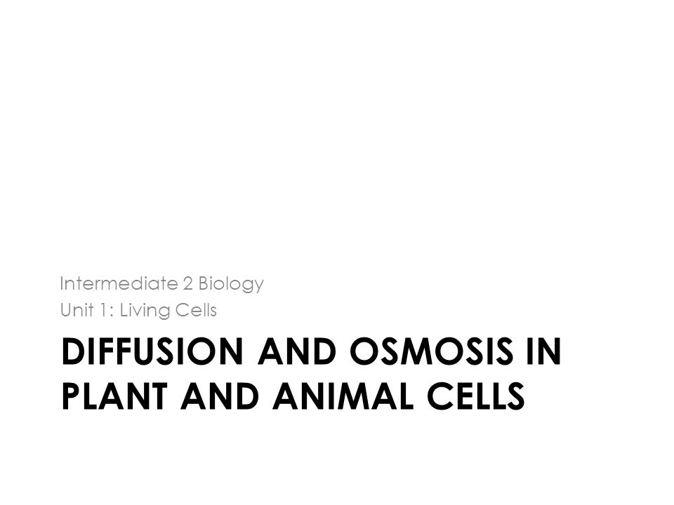 the importance of osmosis in plants