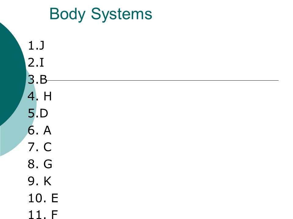 Body Systems 1 J 2 I 3 B 4 H 5 D 6 A 7 C 8 G 9 K 10 E 11 F Ppt Download