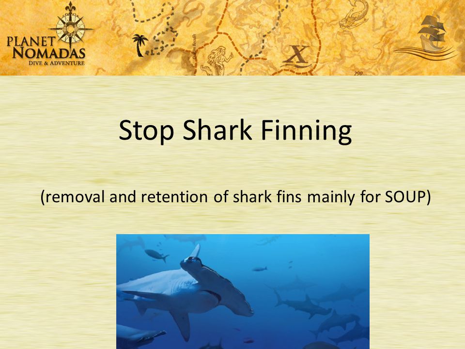 Shark Finning Prohibition Act of 2000