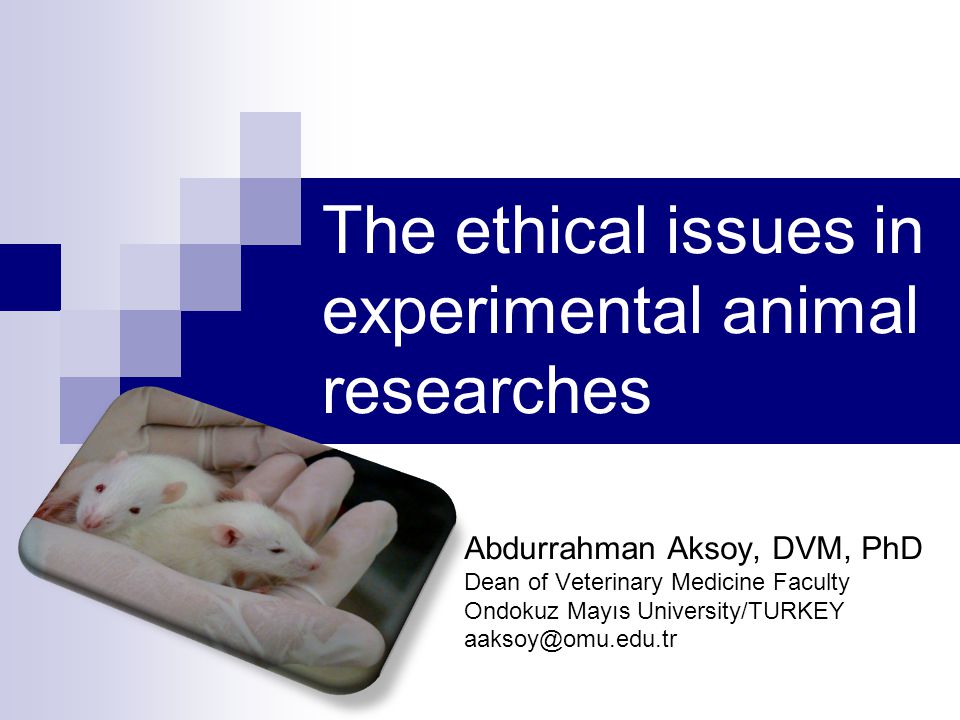 The ethical issues in experimental animal researches - ppt video online  download