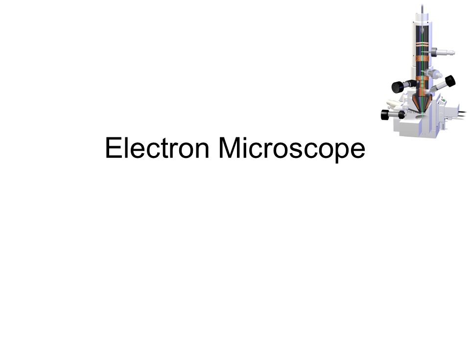 Derbeville test Warning tone Electron Microscope. - ppt download