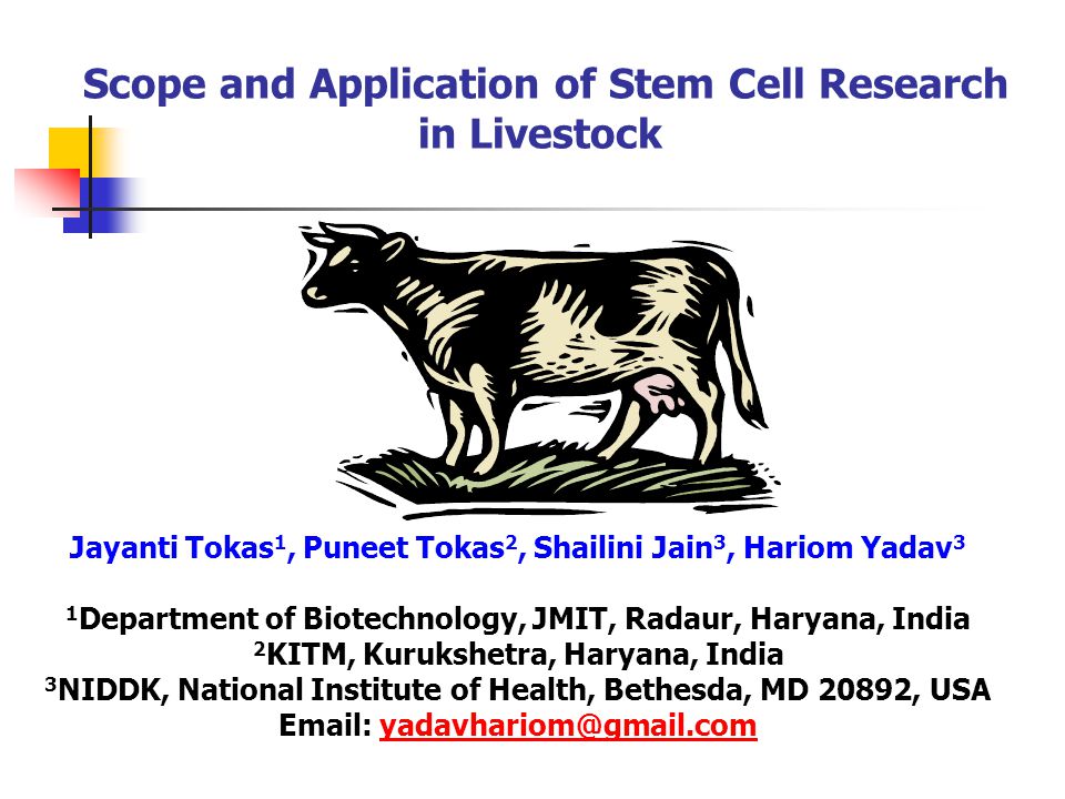 Scope and Application of Stem Cell Research in Livestock Jayanti Tokas 1,  Puneet Tokas 2, Shailini Jain 3, Hariom Yadav 3 1 Department of  Biotechnology, - ppt download