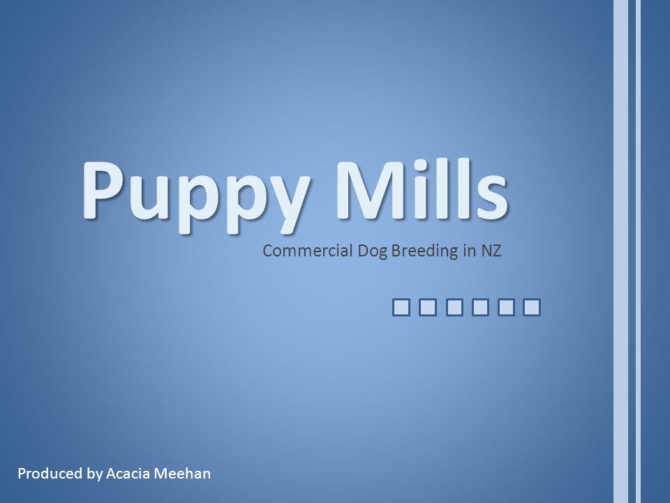 are there puppy mills in nz