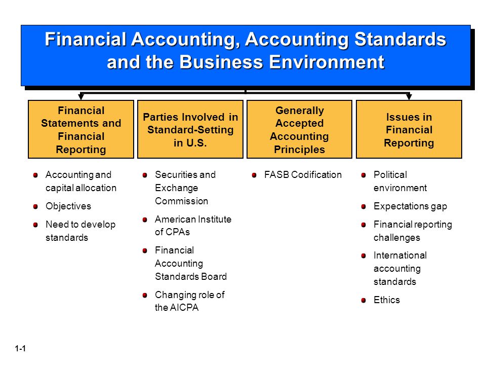 1 1 Securities And Exchange Commission American Institute Of Cpas Financial Accounting Standards Board Changing Role Of The Aicpa Financial Statements Ppt Download