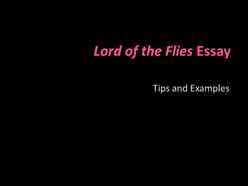 Реферат: Lord Of Fliez Essay Research Paper The
