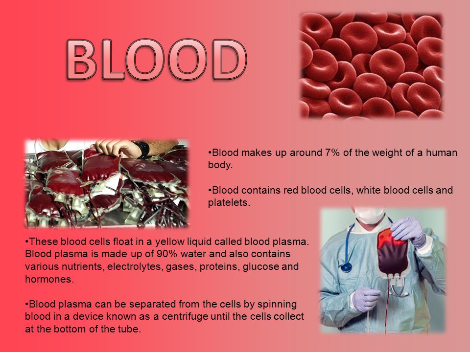 Blood makes up around 7% of the weight of a human body. Blood contains red  blood cells, white blood cells and platelets. These blood cells float in a  yellow. - ppt download