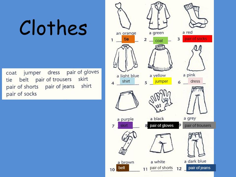 Clothes tie pair of socks coat shirt jumper dress skirt pair of gloves -  ppt download