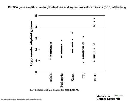 PIK3CA gene amplification in glioblastoma and squamous cell carcinoma (SCC) of the lung. PIK3CA gene amplification in glioblastoma and squamous cell carcinoma.