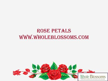 ROSE PETALS  Bulk Fresh Rose Petals.