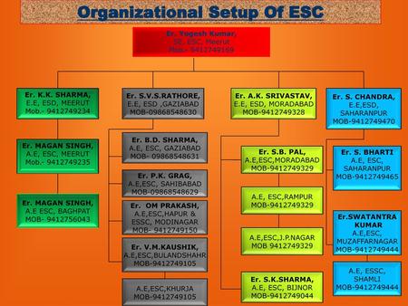 Organizational Setup Of ESC