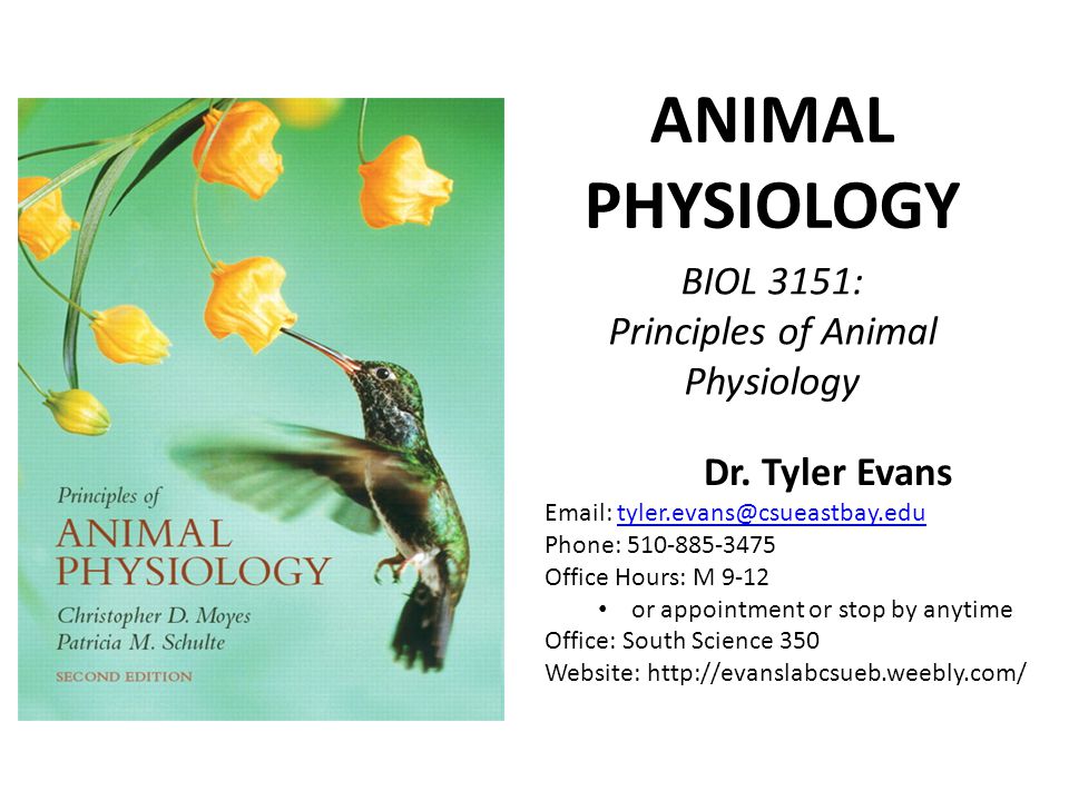 Principles of Animal Physiology - ppt video online download