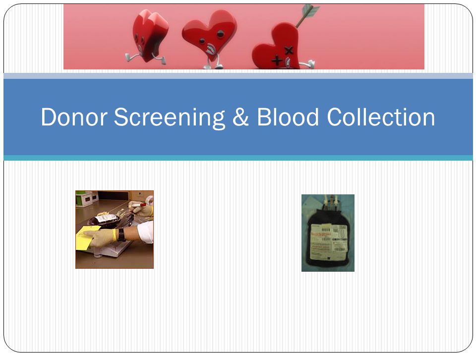 Donor Screening Blood Collection Donor Screening All Blood Comes From Volunteer Donors Screening Performed To Ensure Donor Is Healthy Starts With Ppt Download