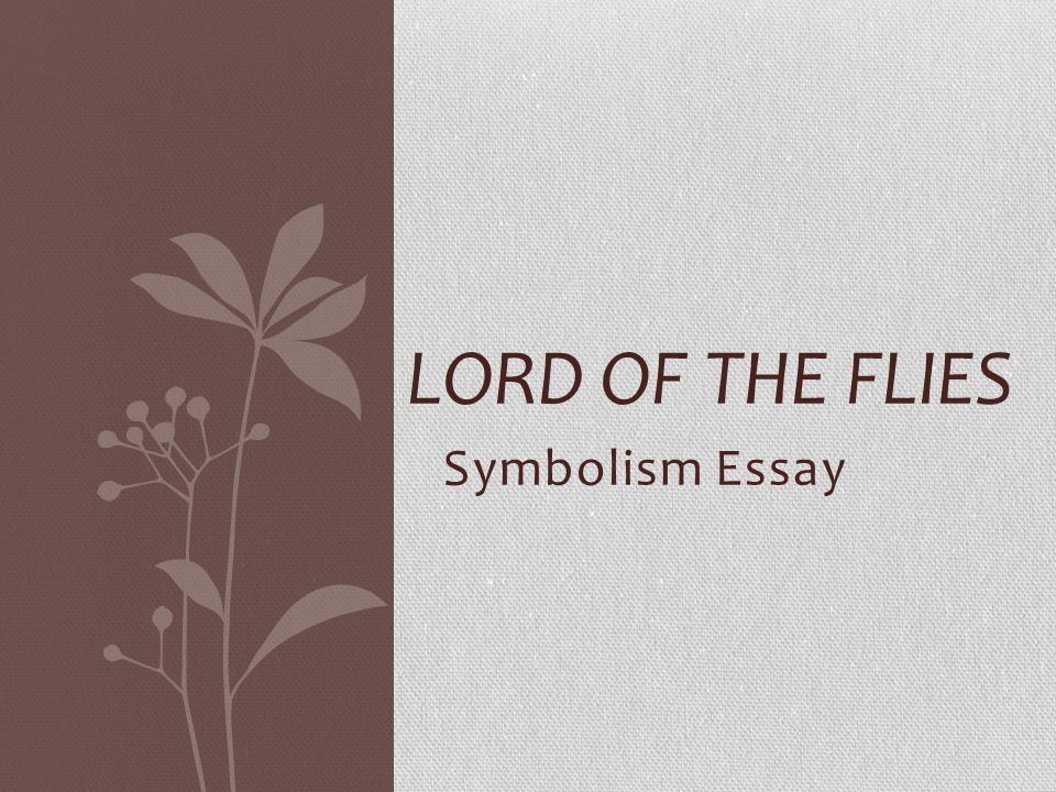 Реферат: Lord Of The Flies Symbolism Essay Research