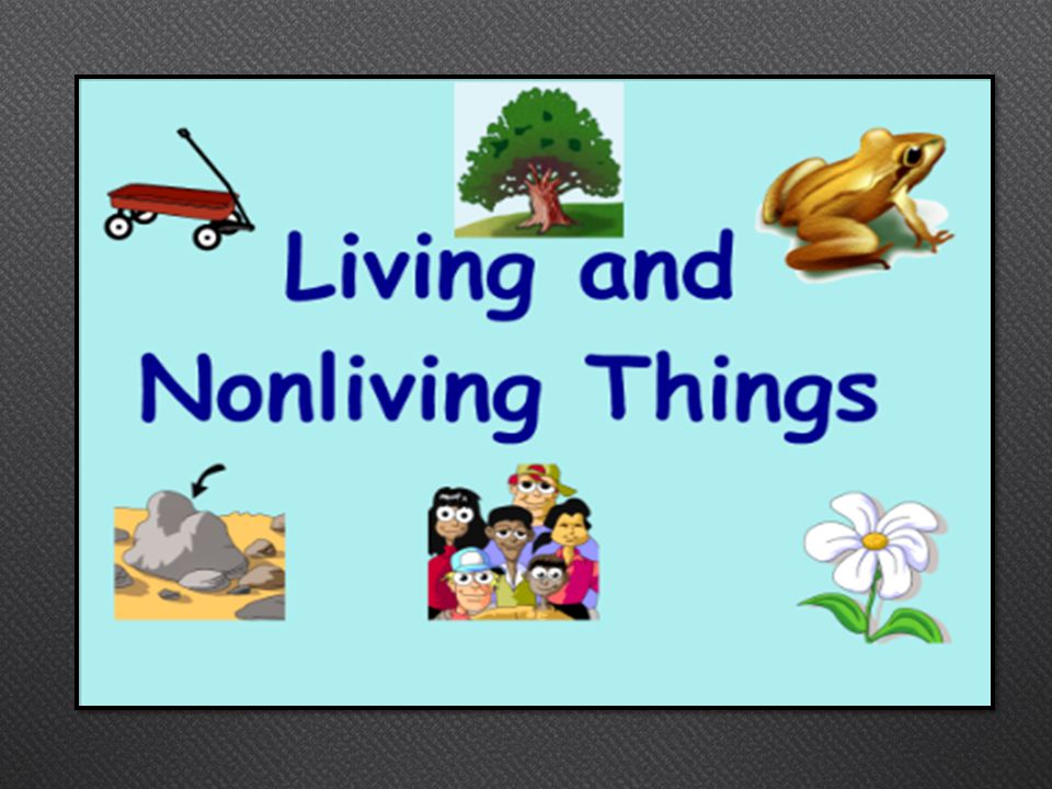Living And Nonliving Things Ppt Video Online Download