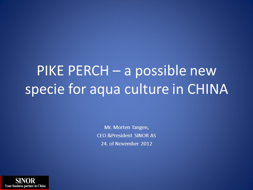 PIKE PERCH – a possible new specie for aqua culture in CHINA Mr. Morten  Tangen, CEO &President SINOR AS 24. of November ppt download