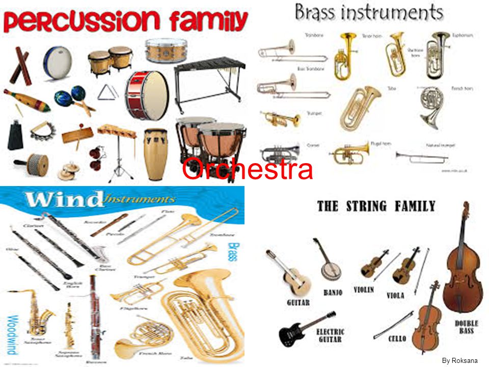 Orchestra By Roksana. - ppt video online download